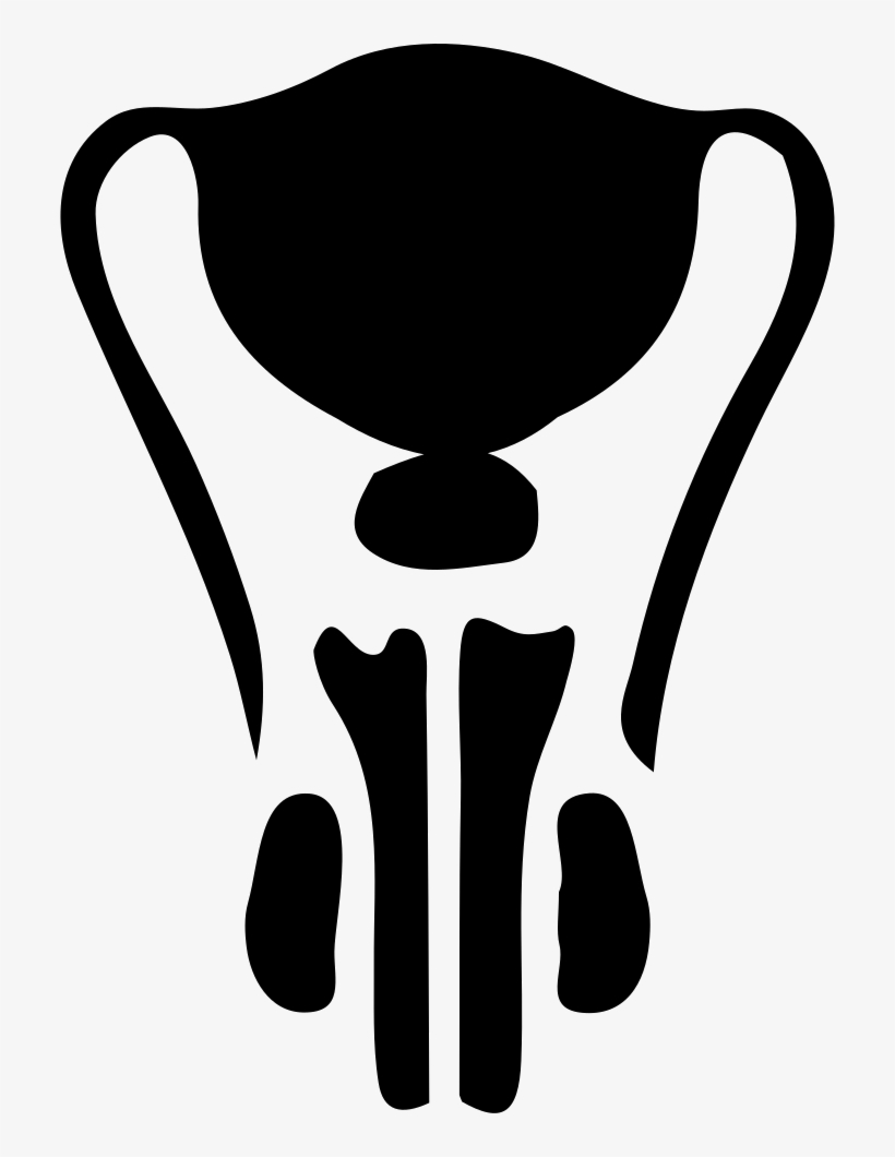 Png File Svg, transparent png #6758408