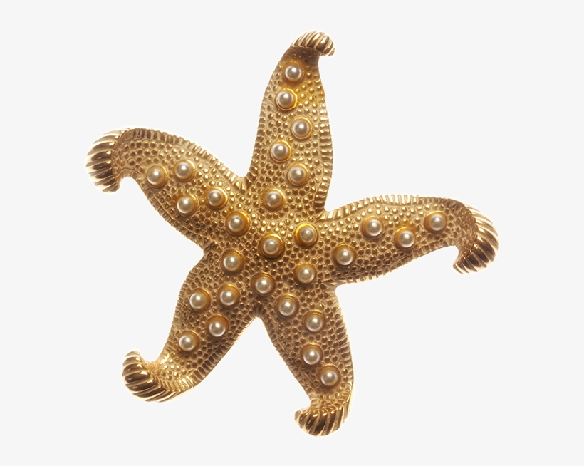 Medicinska Sestra Sanela Diana Jenkins Foundation For, transparent png #6758549