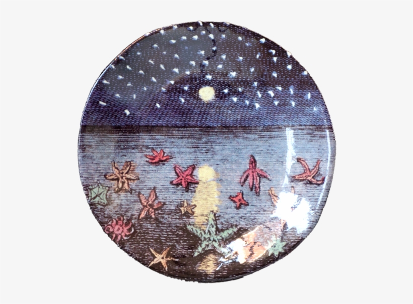 Star Fish Png, transparent png #6758672