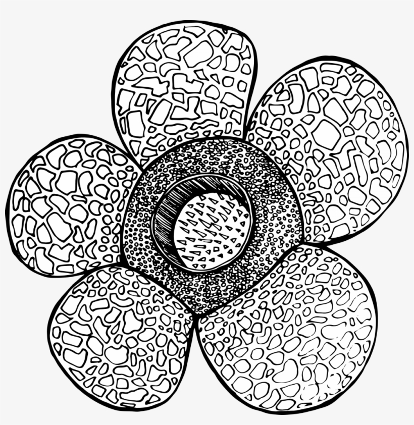 I Was Working On More Detailed And High-res Motifs, transparent png #6760545