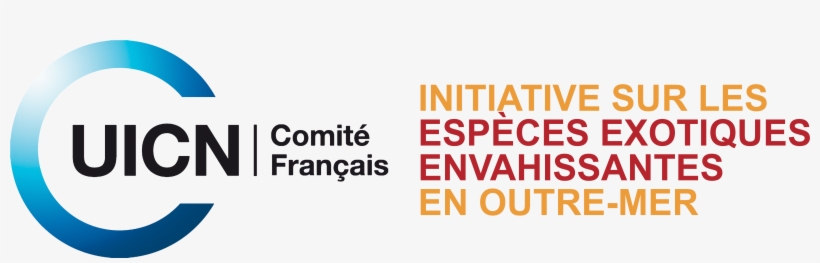 Melaleuca Quinquenervia, transparent png #6765797