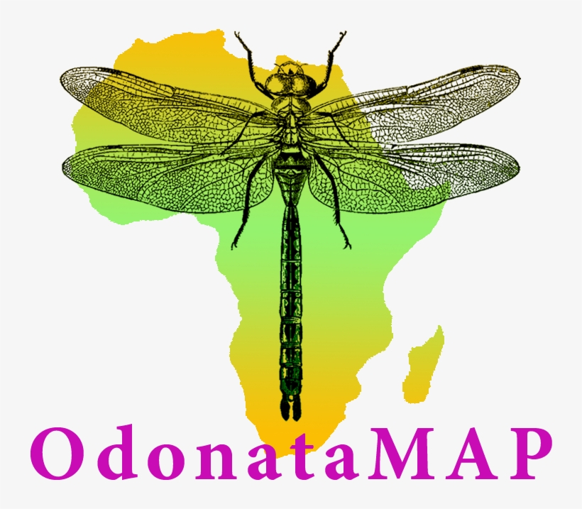 [inmage Size Reduced], transparent png #6769235