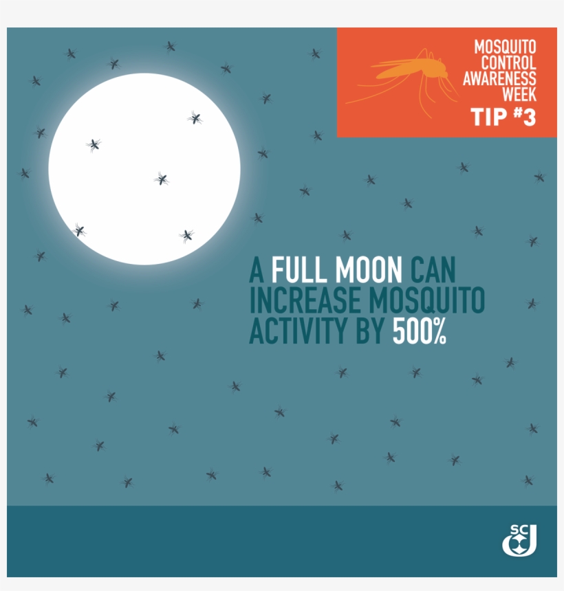 Sc Johnson On Twitter, transparent png #6770279