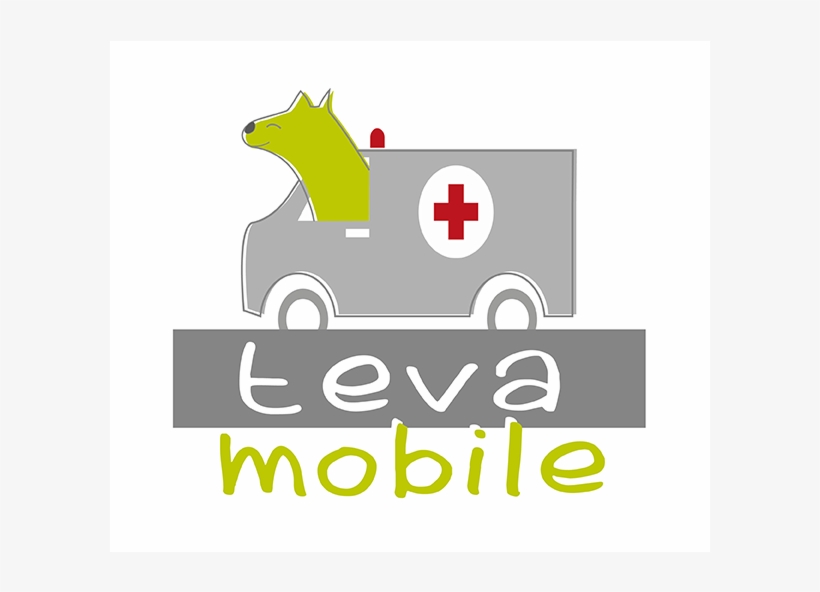 Teva Understands Bringing Your Best Friend To A Veterinary, transparent png #6772747