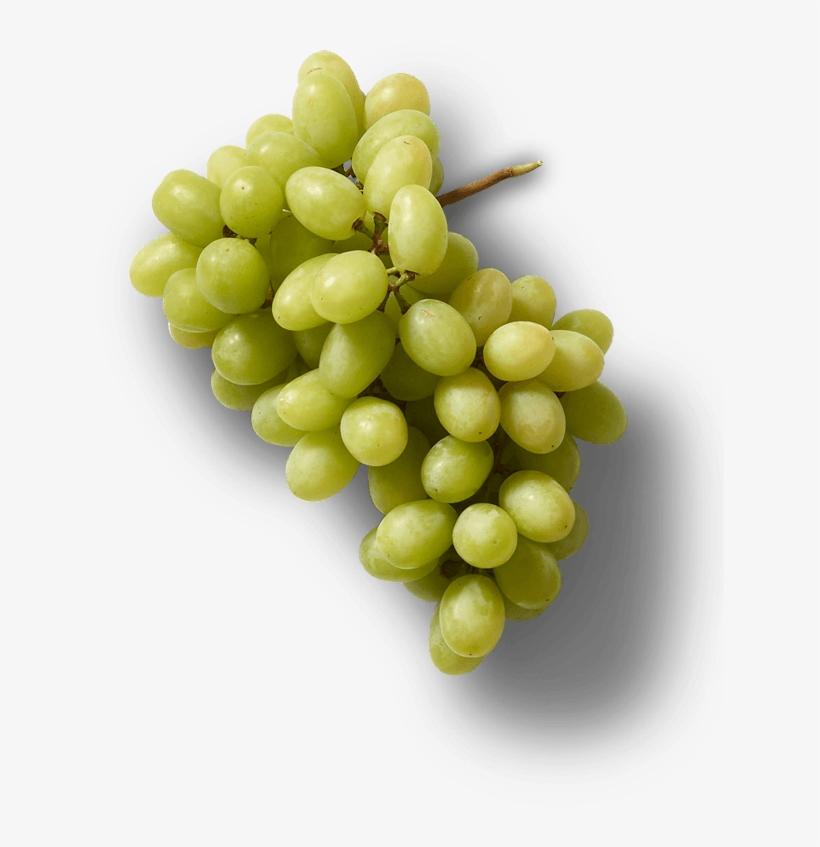 Green Grapes, transparent png #6778111