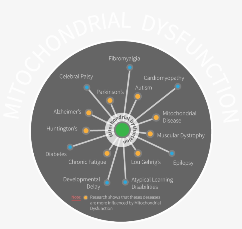 Image, transparent png #6782791