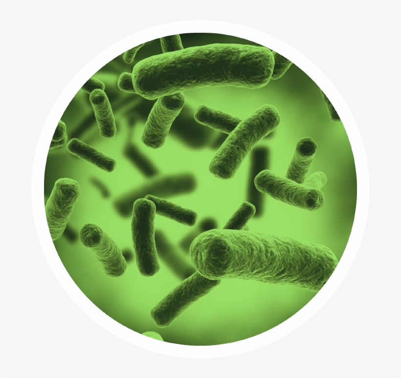 Ensuring Environmental Safety, transparent png #6783129