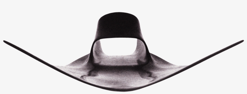 Hide Contributed By, transparent png #6783433