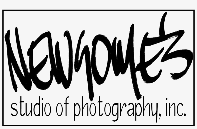 Our Pegasus Partners Are Community Businesses Who Contribute, transparent png #6784514