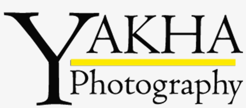 Logo, transparent png #6789700