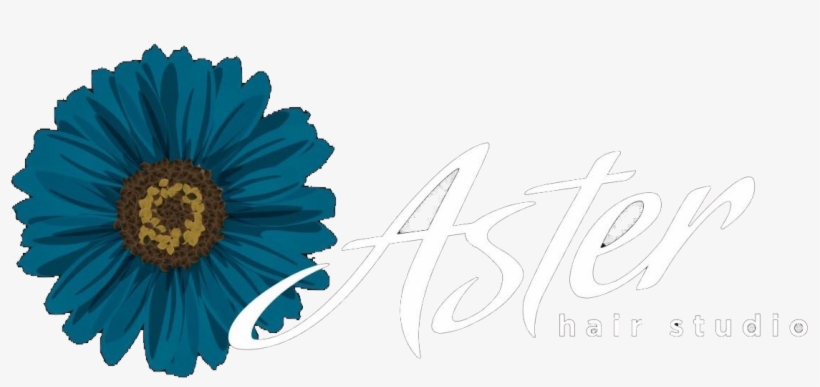 Aster Hair Studio, transparent png #6795944