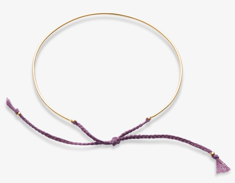 Aster Png, transparent png #6796577