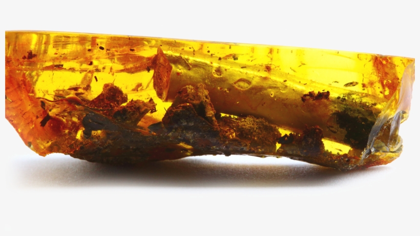 Both Are 100% Amber With No Additives, transparent png #6798625