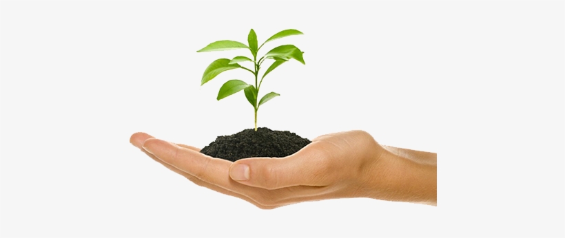 Business Growth Is The Goal Of Every Business Owner - Plant Growth In Hand, transparent png #680787