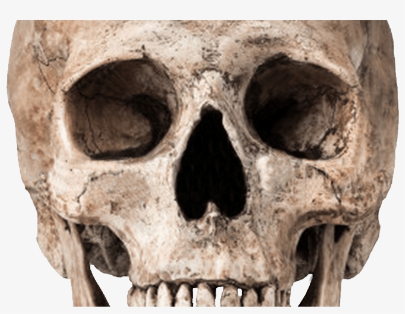Download Skull Free Png Photo Images And Clipart Freepngimg - Sonu Rajput Editing Background Png, transparent png #681261