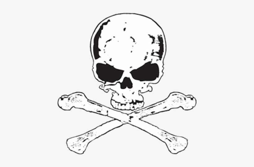 Skull Bones Transparent - Skull, transparent png #681335