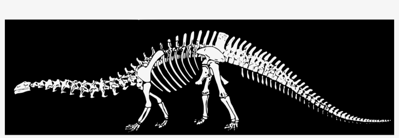 This Free Icons Png Design Of Dinosaur Bones, transparent png #681409