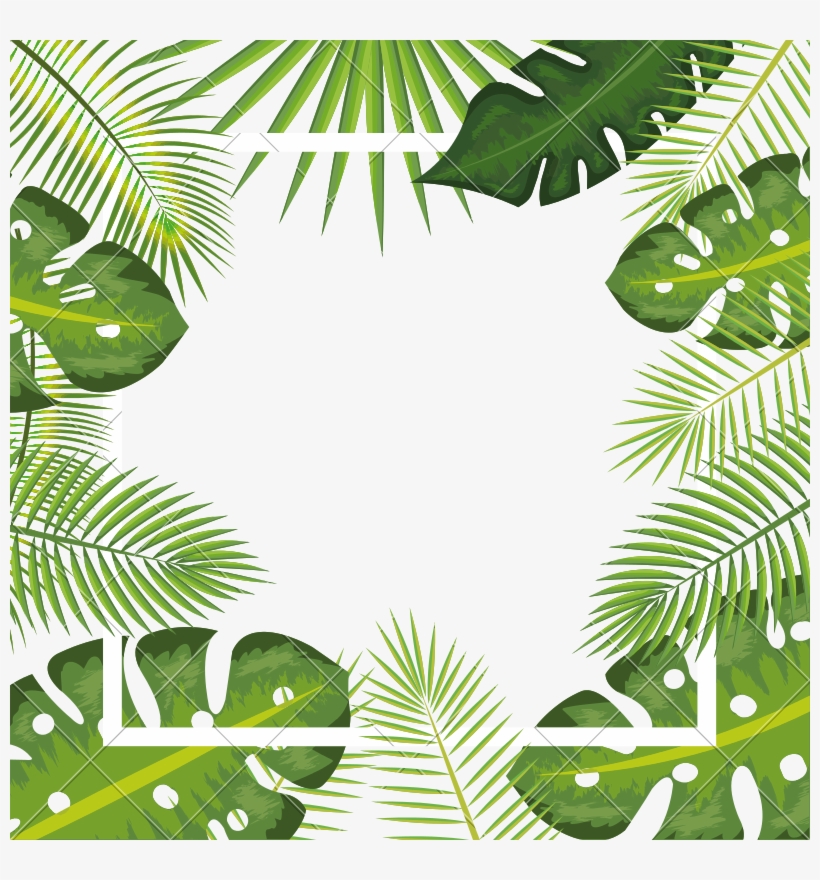 Tropical Leaves Frame Background - Tropical Leaf Frame Png, transparent png #681837