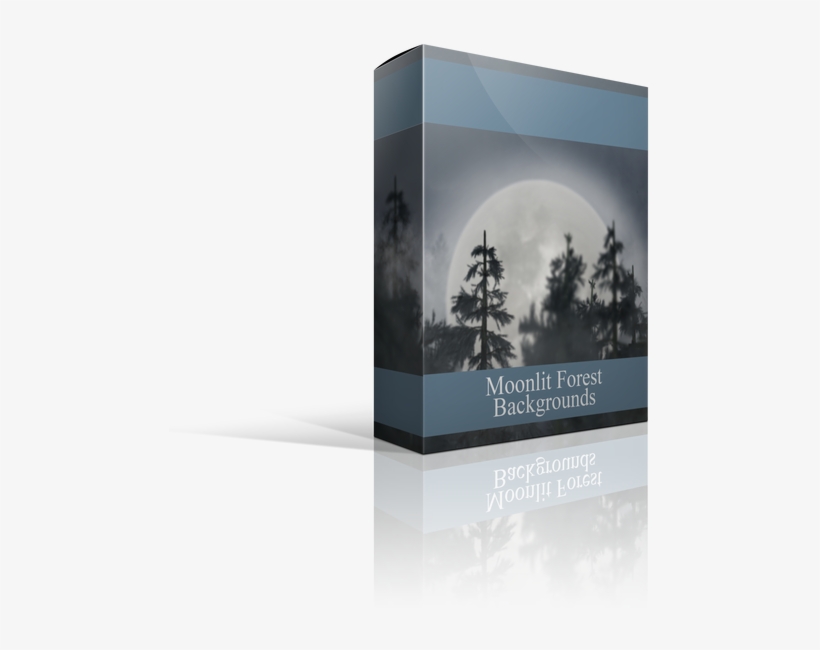 The Moonlit Forest Digital Backgrounds For Photographers - Christmas Tree, transparent png #682371