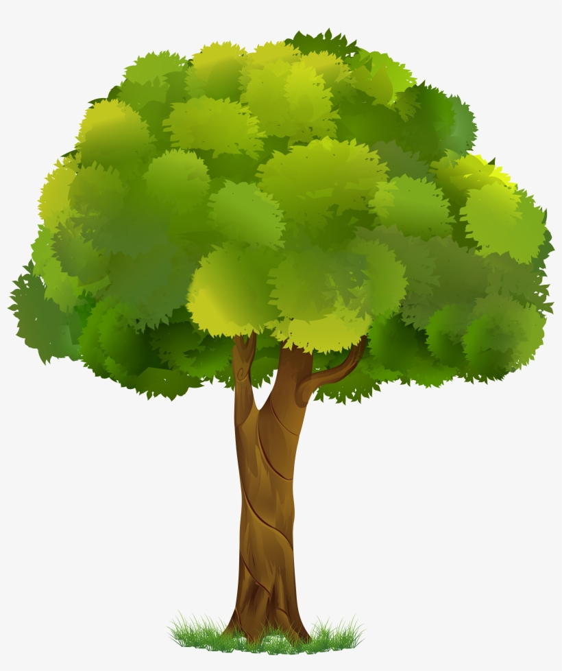 Tree Clipart Transparent Background 5 Of - Transparent Background Tree Cartoon, transparent png #682673