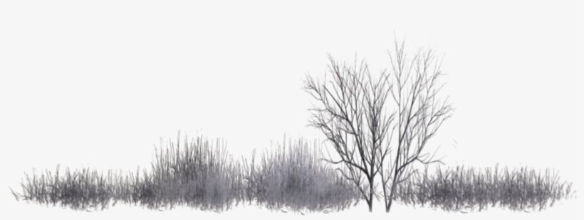 Landscape Architecture, transparent png #682808