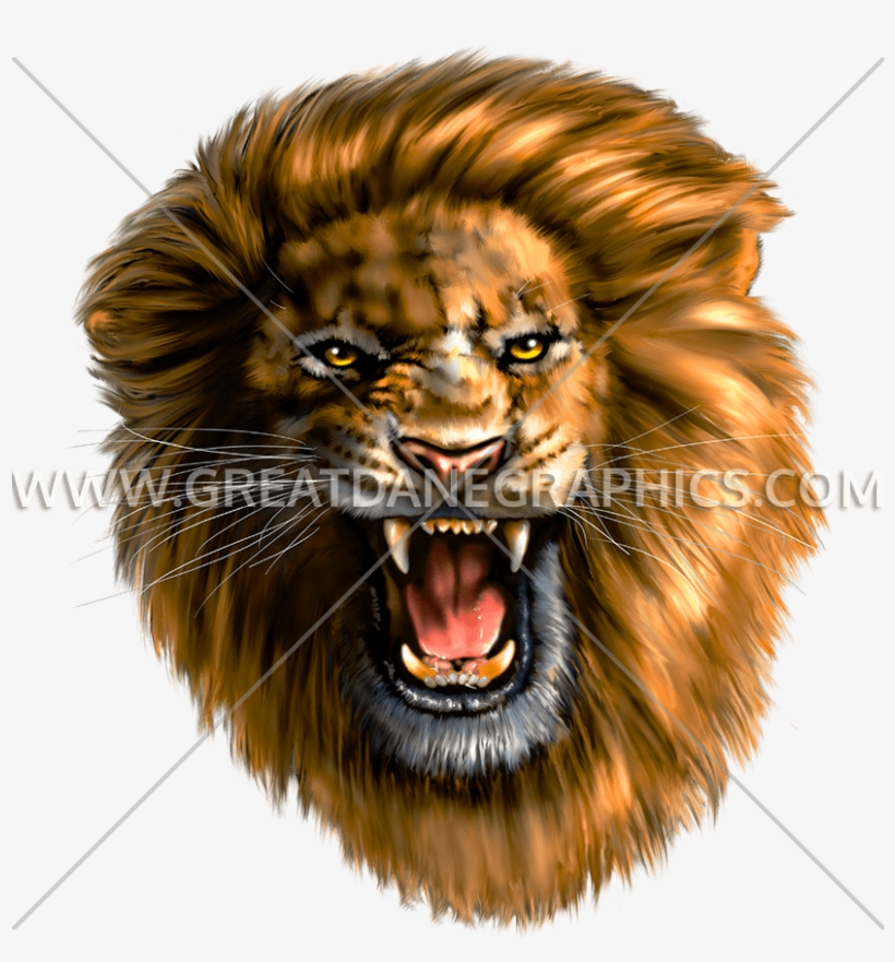 Roaring Lion - Roaring Lion Head .cdr, transparent png #683623