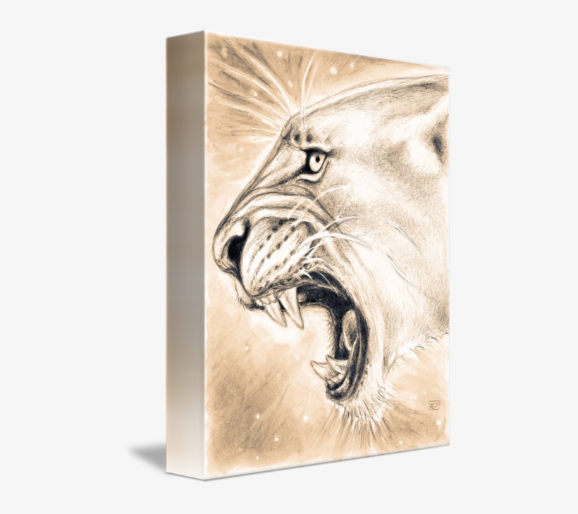 Sepia Drawing Lion - Lioness Roar Ii Shower Curtain, transparent png #683648