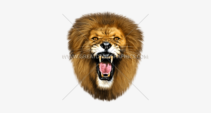 Roaring Lion - Roar Lion Head Png, transparent png #683682