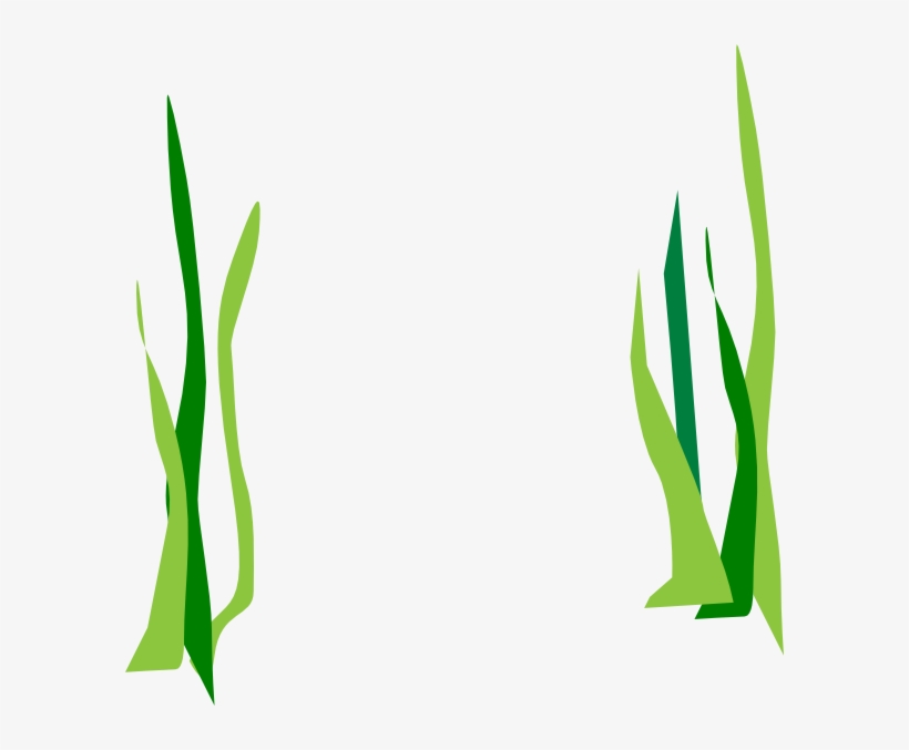 Green Reeds Clip Art At Clker - Transparent Background Seaweed Clipart, transparent png #683705