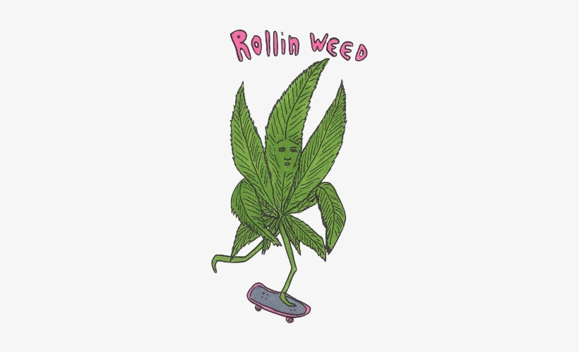 Pot Leaf Clipart With Transparent Background - Rollin Weed, transparent png #683760