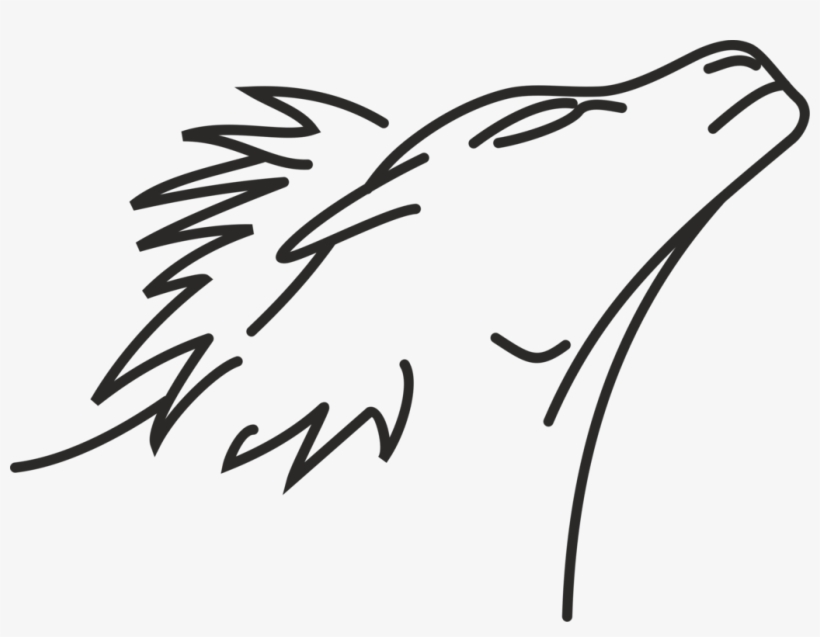 Lion Line Art Drawing Roar - Drawing, transparent png #683765