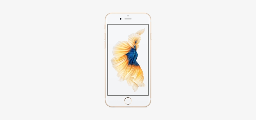 Iphone 6s 32gb Gold Iphone 6s 32gb Gold Apple Iphone 6s Factory Unlocked 4g Lte Cdma Gsm Free Transparent Png Download Pngkey