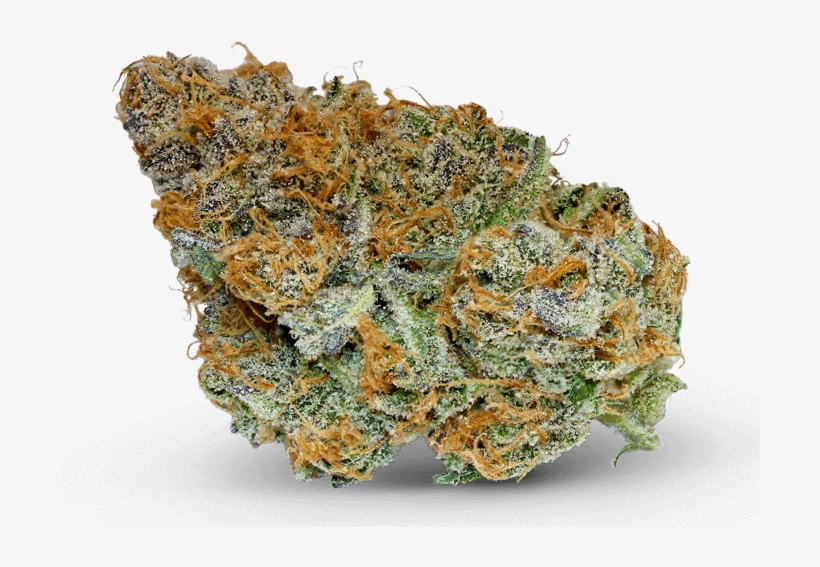 Jilly Bean - Haze, transparent png #683945