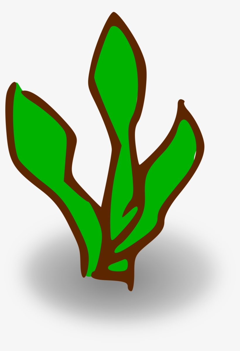 This Free Icons Png Design Of Kelp Forest, transparent png #685228