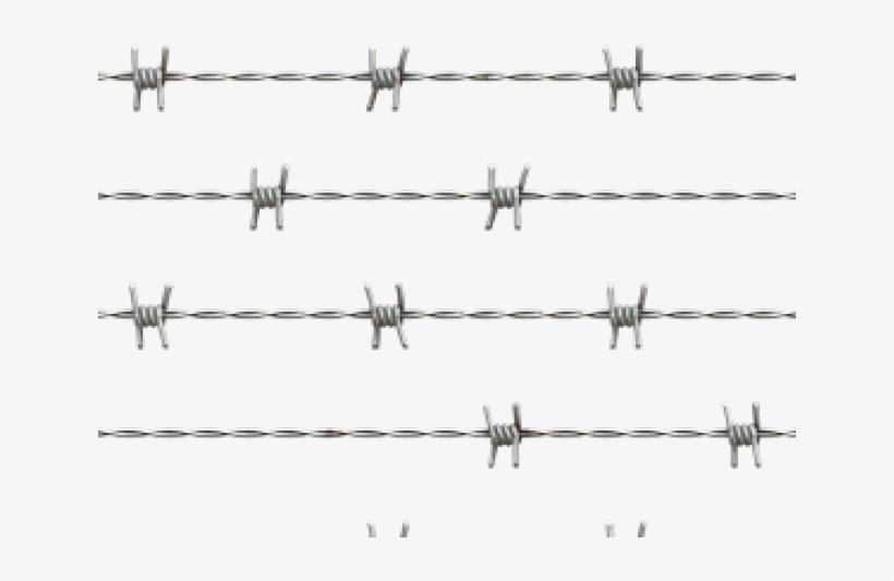 Barbwire Png Transparent Images - Galvanized Barbed Wire Png, transparent png #685361