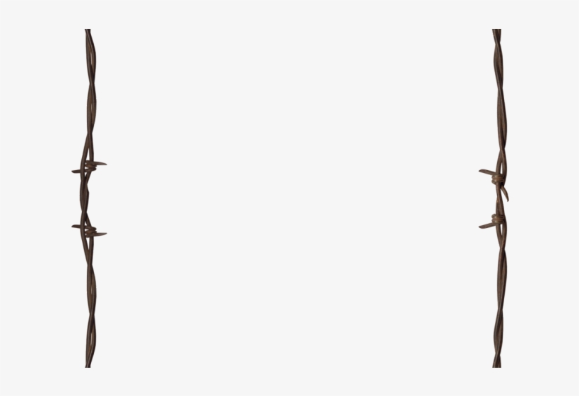 Barbed X Carwad Net - Barbed Wire, transparent png #685551