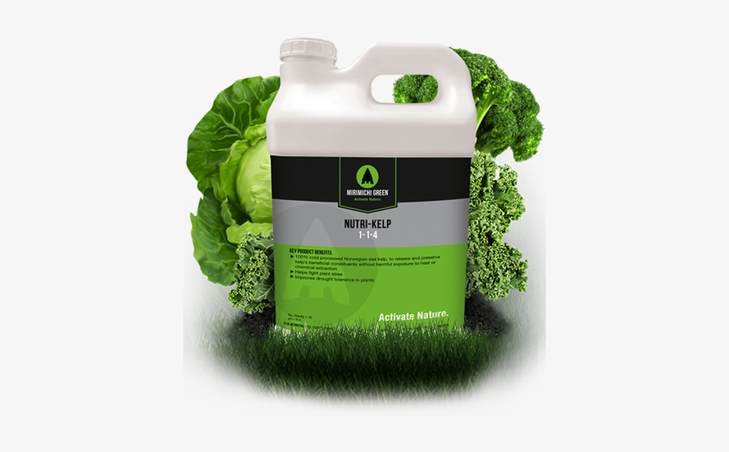 Nutri Kelp - Mirimichi Green Nutri-turf Liquid Foliar Fertilizer, transparent png #685684