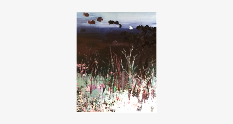 Sabal Palmetto, transparent png #687194