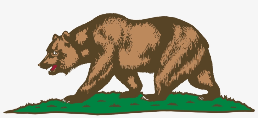 California Grizzly Bear California Grizzly Bear Drawing - California Flag, transparent png #687668