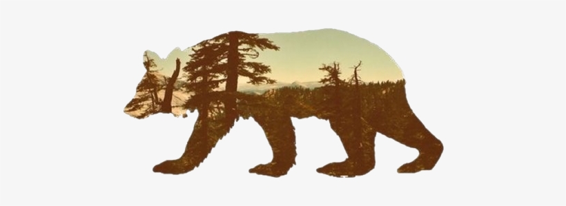 #tumblr - Bear Silhouette, transparent png #687889