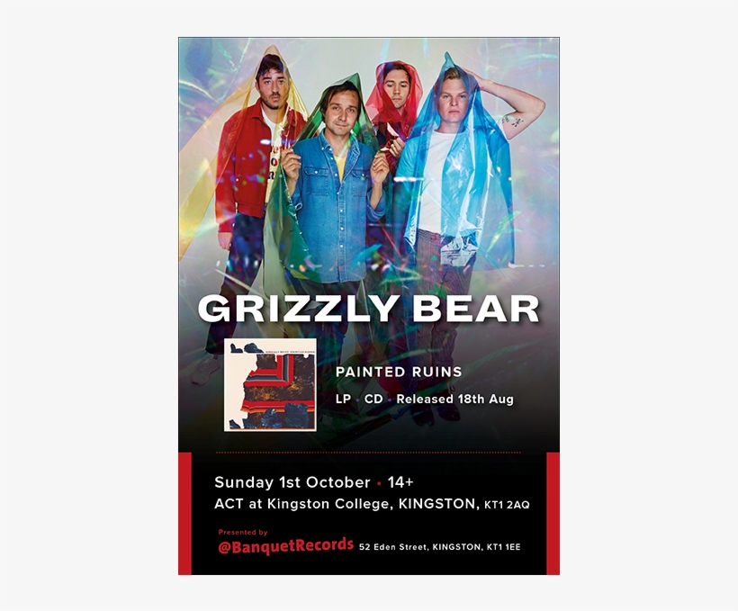 Grizzly Bear / Tom Speight - Grizzly Bear, transparent png #687959