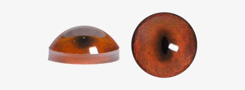 Fox Eyes Transparent Png - Portable Network Graphics, transparent png #688217