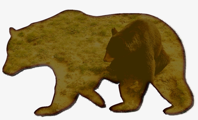 Visitors Can Experience Black Bears Up Close Without - Bear Stencils, transparent png #688295