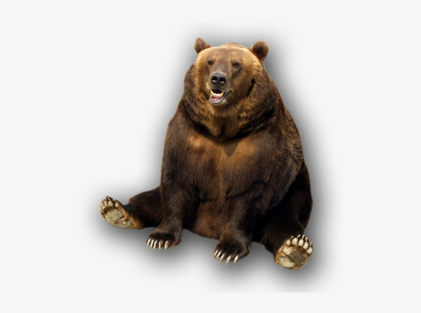 Bear Transparent Png File - Murder Grins And Bears It [book], transparent png #688422