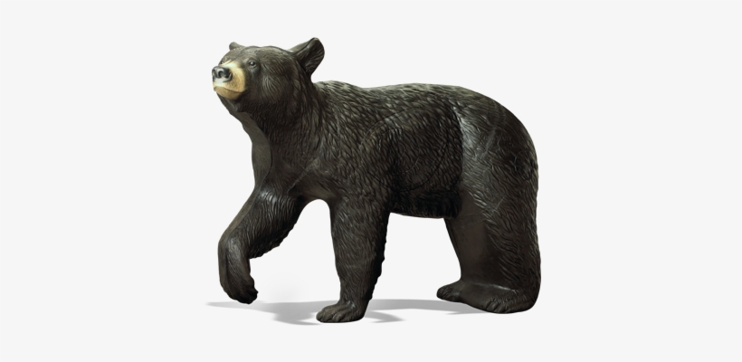 Large Black Bear - American Black Bear, transparent png #688541