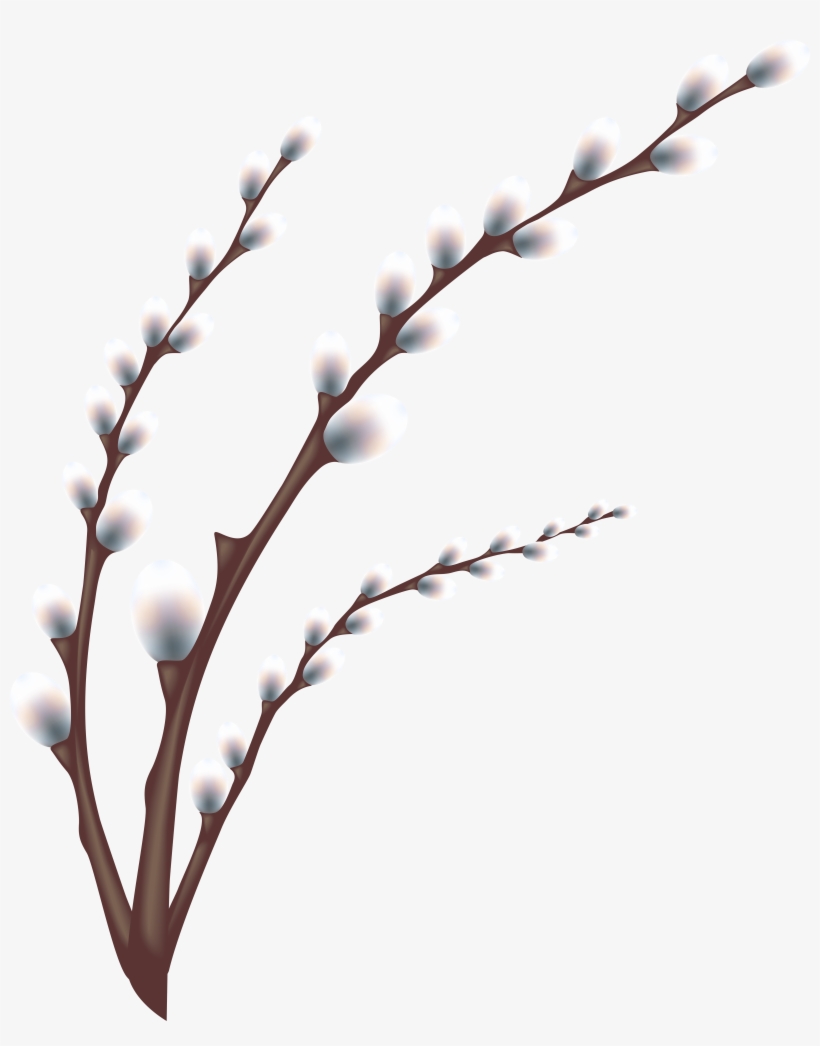 Willow Branch Clip Art, transparent png #689085