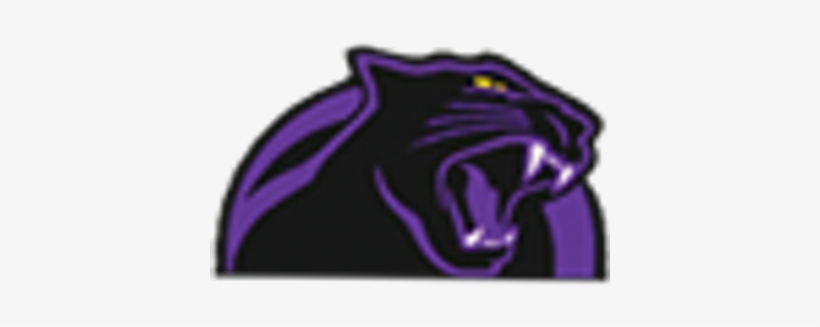 Elder Panthers, transparent png #689566