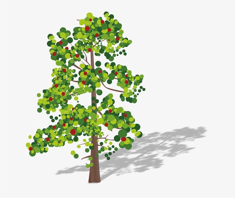 Tree, Fruits, Green, Red, Leaves, Apple Tree - Oxygen Carbon Dioxide Cycle Blank, transparent png #689918
