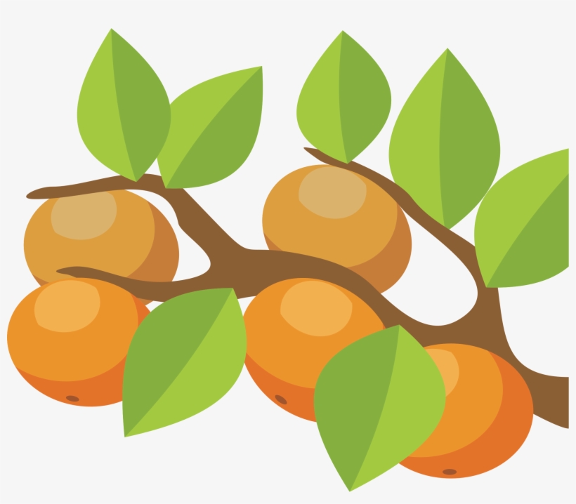 Orange Tree Png - Orange Tree Clip Art, transparent png #689922