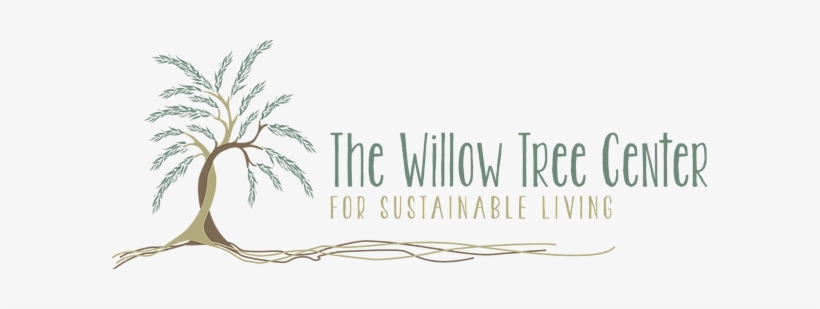 White Pine, transparent png #689950